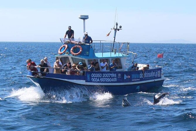 Dolphin Watching in Gibraltar Dolphin Safari V.I.P - Weather reality: dolphins are wild, and the sea has a vote