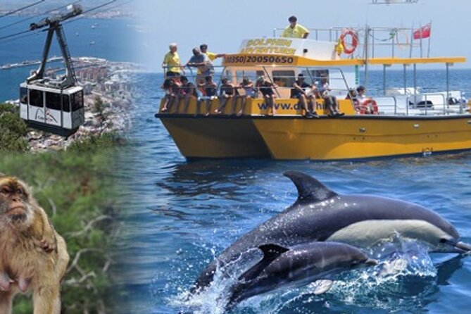 Dolphin Watching in Gibraltar & Fast Track Priority Cable Car - How the Dolphin Watching + Cable Car Combo Works in Gibraltar