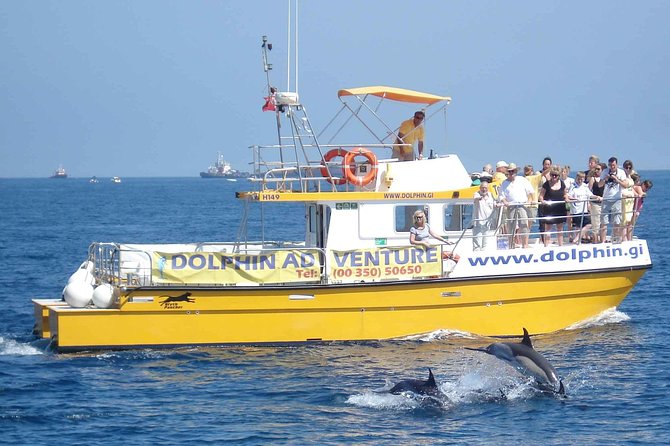 Dolphin Watching in Gibraltar & Fast Track Priority Cable Car - Price and Value: Is $53.02 a Good Deal?