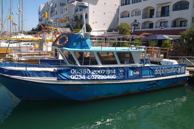 Dolphin Watching in Gibraltar with Dolphin Safari - Key highlights I’d bet on