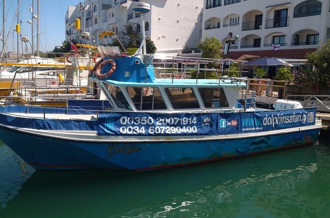 Dolphin Watching in Gibraltar with Dolphin Safari - Captain and crew: the difference between waiting and finding