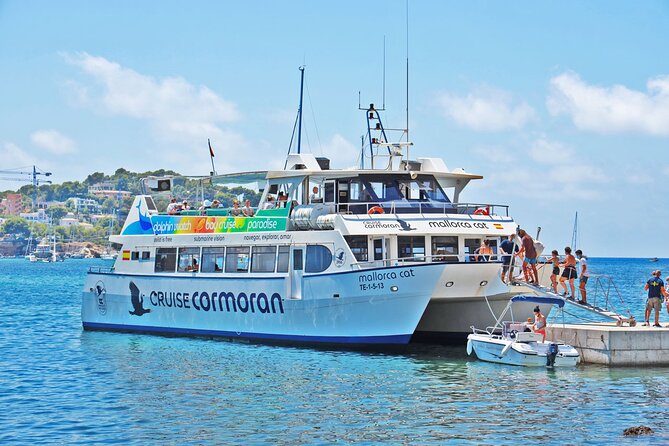 Dolphin Watching in Mallorca (Paguera) - Meeting at Bar Torà in Peguera (and Why Timing Matters)