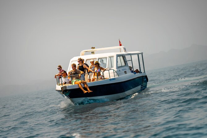 Dolphin Watching in Muscat - Key Highlights You Shouldn’t Miss