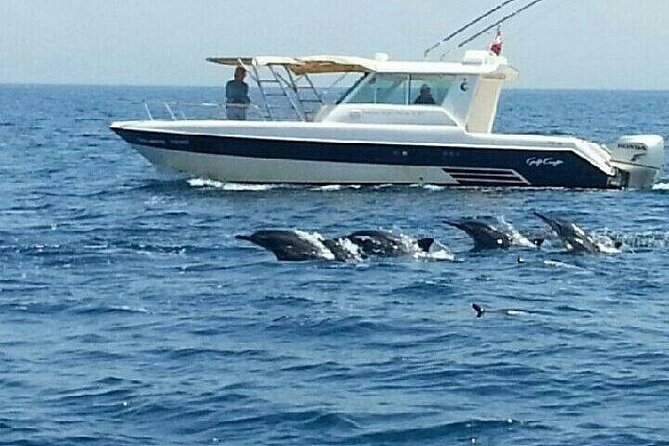 Dolphin Watching in Muscat - Stop at Qantab Beach: Snorkeling + Scenic Water Time
