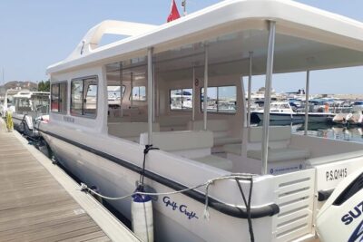 Dolphin Watching in Muscat - How This Dolphin Watching Trip Works (and Why It’s Worth $59)