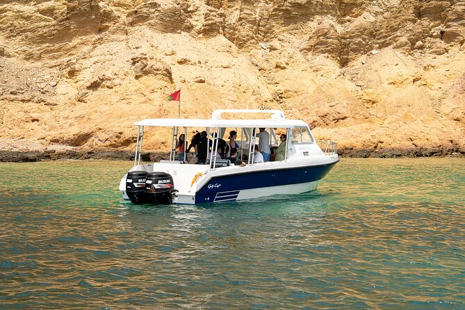 Dolphin Watching in Muscat - The Al Bustan Palace Area: Why That Coastal View Is Part of the Day