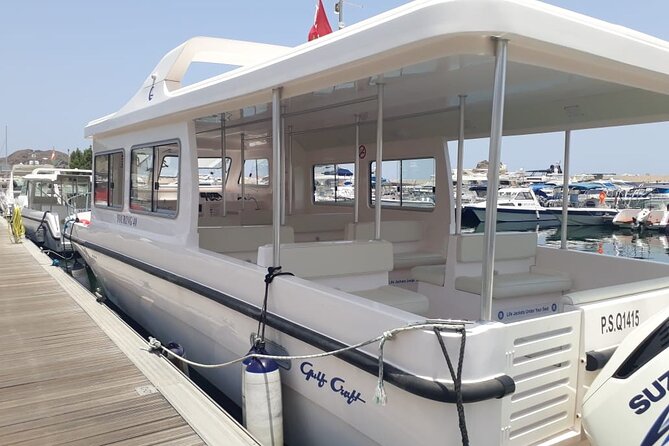 Dolphin Watching in Muscat - How This Dolphin Watching Trip Works (and Why It’s Worth $59)