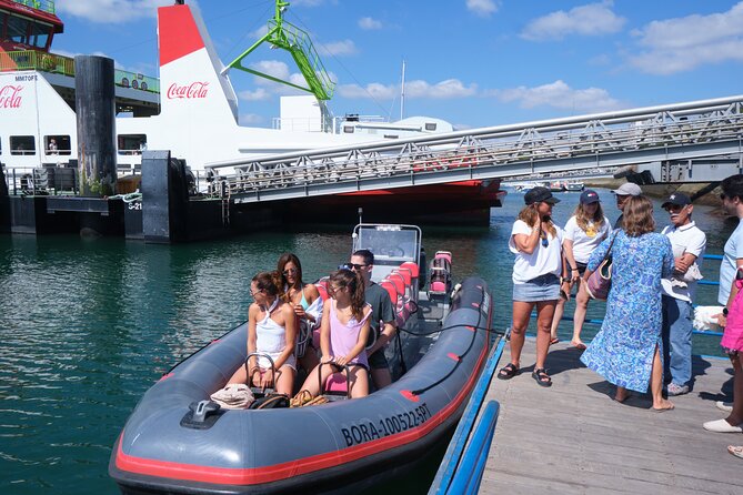 Dolphin watching in Setúbal - How the 2h 15m Cruise Flows from Setúbal