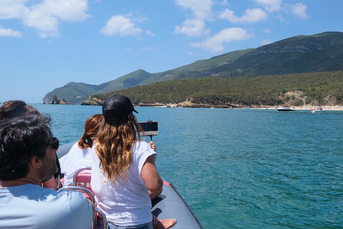 Dolphin watching in Setúbal - Wildlife Etiquette You Can Feel on the Water