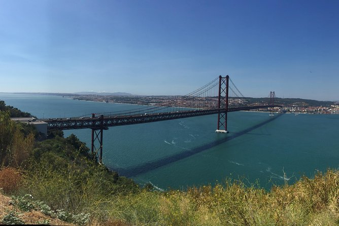 Dolphin Watching in the Wild - Half Day - Lisbon to Setúbal: the drive that sets the tone