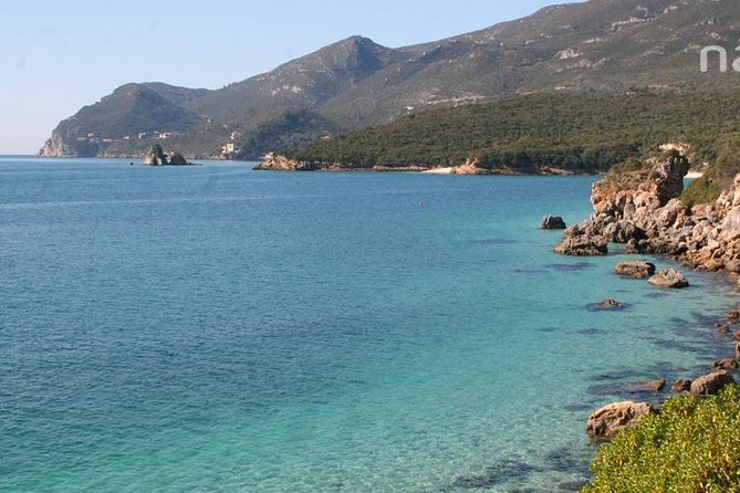 Dolphin Watching in the Wild - Half Day - Weather reality and the smart-casual rule