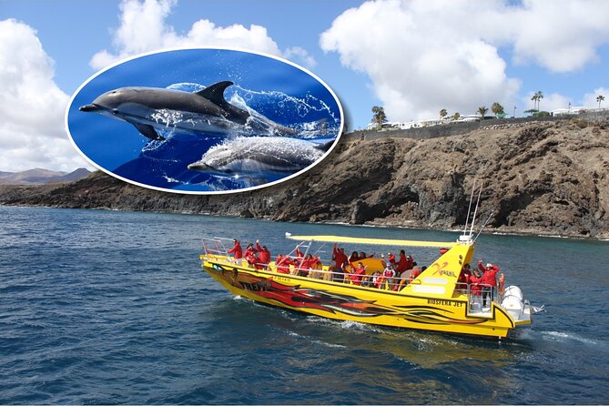 Dolphin Watching Mini Cruise and Snorkeling from Lanzarote - Key Highlights You’ll Actually Care About