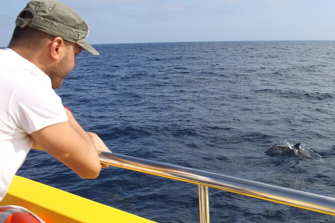 Dolphin Watching Mini Cruise and Snorkeling from Lanzarote - Snorkeling timing and the reality of a short swim stop