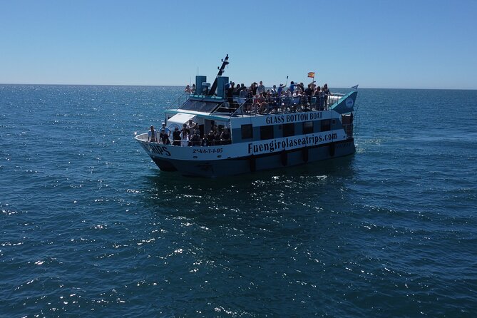 Dolphin watching on a Catamaran in Fuengirola - Key things to know before you go