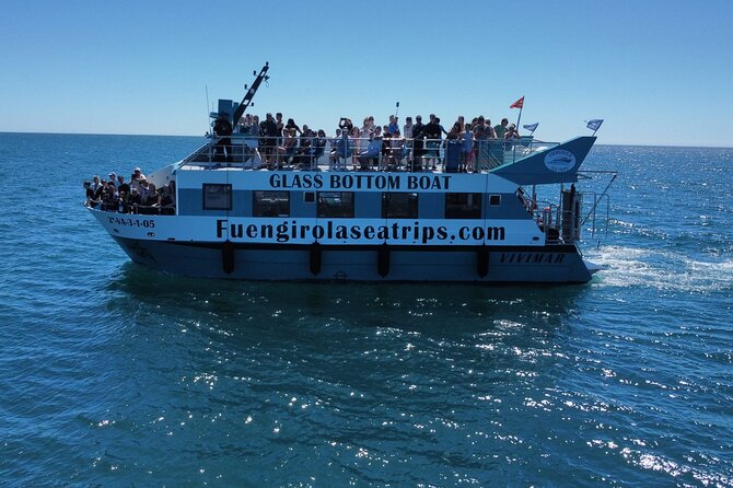 Dolphin watching on a Catamaran in Fuengirola - Where this trip starts in Fuengirola (and why it’s a smart choice)