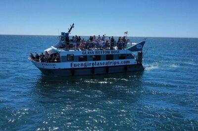 Dolphin watching on a Catamaran in Fuengirola - The catamaran layout: upstairs views, downstairs comfort