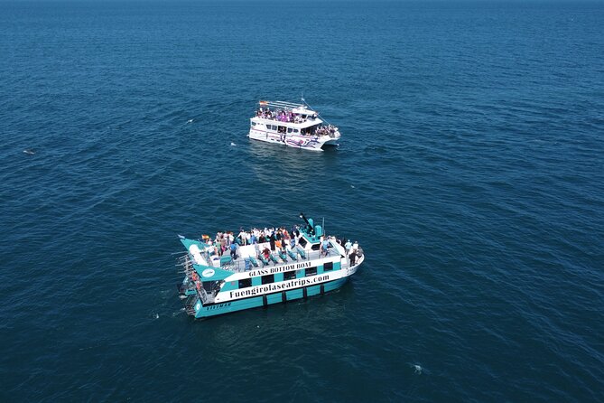 Dolphin watching on a Catamaran in Fuengirola - Small-group feel vs. crowd factor: max 110 on board