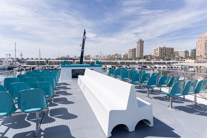 Dolphin watching on a Catamaran in Fuengirola - Best time to go (and why “first” can help)