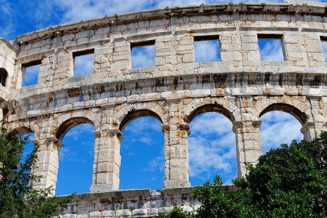 DOLPHIN WATCHING | Pula Boat - The On-Water Flow: What Happens During the Cruise