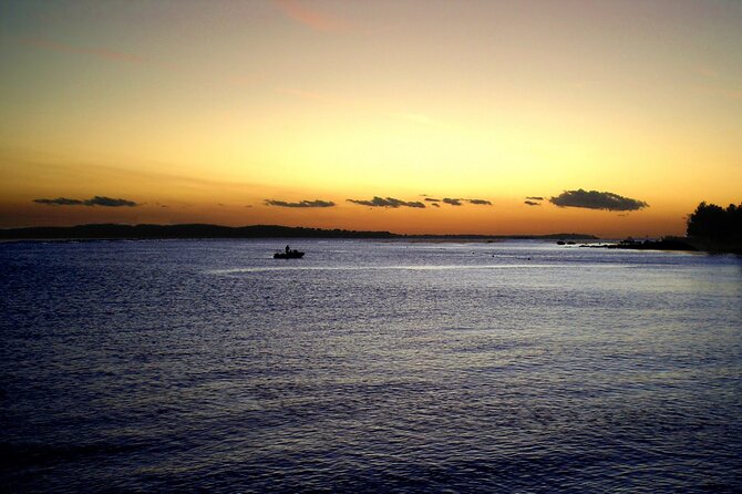 DOLPHIN WATCHING | Pula Boat - Comfort and Practicalities That Matter More Than You Think