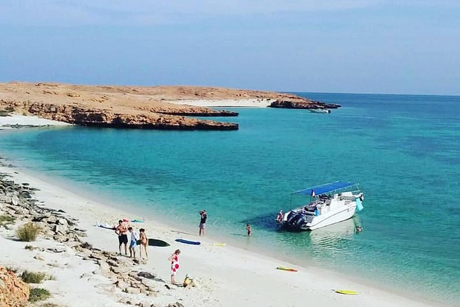Dolphin Watching & Snorkeling - Key Highlights You’ll Care About