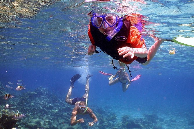 Dolphin Watching & Snorkeling - The Coastline Loop Back to Harbor: Turns Transit into a Bonus