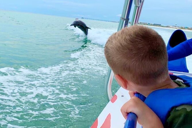 Dolphin-Watching Speedboat Cruise in Destin Harbor - Key things to know before you go