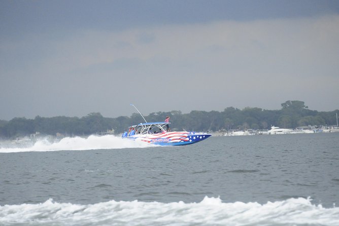 Dolphin-Watching Speedboat Cruise in Destin Harbor - What you can realistically spot: dolphins, sting rays, and more