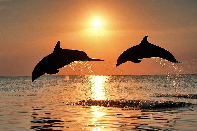 Dolphin Watching & Sunset Boat Tour With Dinner and Drinks - Dolphin Watching Meets Brijuni Sunset in Pula