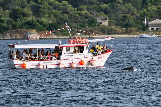 Dolphin Watching Sunset Boat Trip in Pula with Dinner - Sunset over Brijuni: the timing makes the whole trip