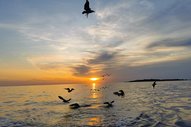 Dolphin Watching Sunset Boat Trip in Pula with Dinner - Drinks and comfort: the little things you’ll feel on the water