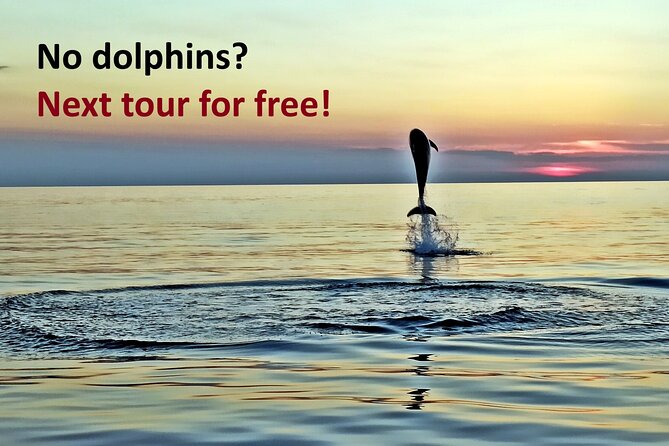Dolphin Watching Sunset Speedboat Tour with Drinks in Rovinj - How the crew searches for dolphins without turning it into a circus