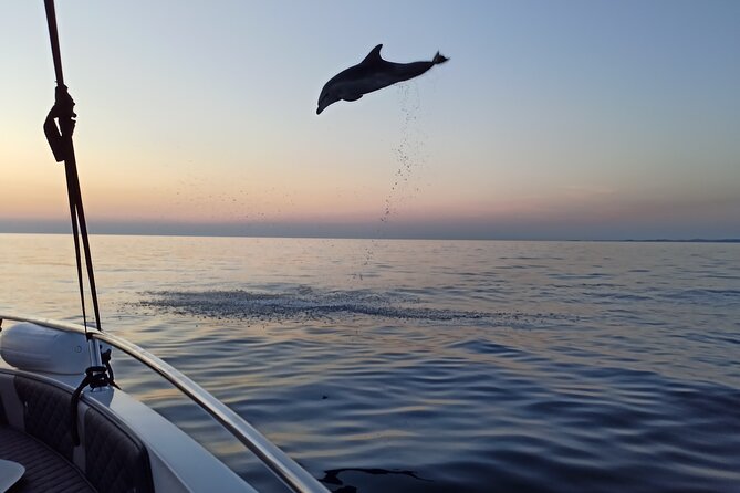 Dolphin Watching Sunset Speedboat Tour with Drinks in Rovinj - Rovinj’s old town from the sea during the return ride