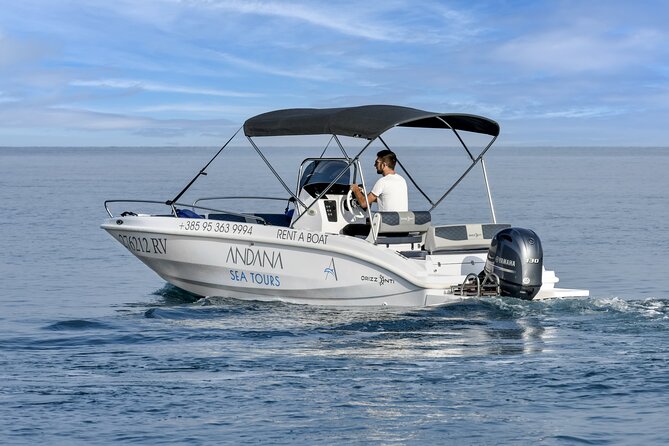 Dolphin Watching Sunset Speedboat Tour with Drinks in Rovinj - Price and value: what $75.62 buys you in real terms