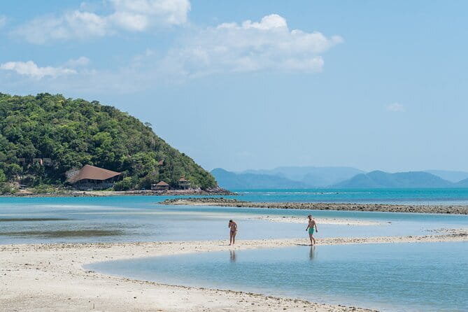 Dolphin Watching Tan and Pig Island Tour from Koh Samui - Price and Value: What You’re Paying For, and Where Costs Can Pop Up