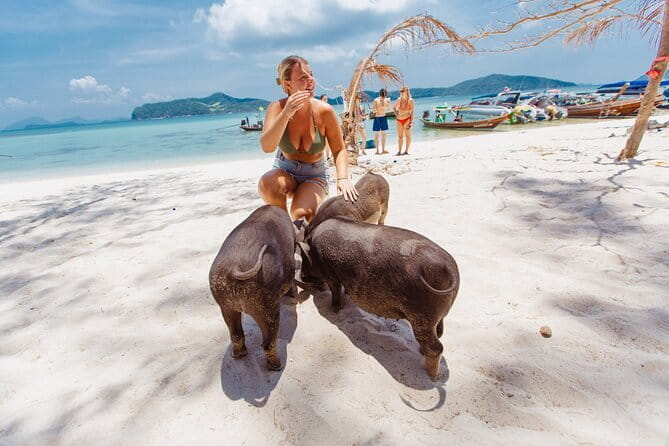 Dolphin Watching Tan and Pig Island Tour from Koh Samui - Boat Comfort: The Choppy-Water Consideration That Matters