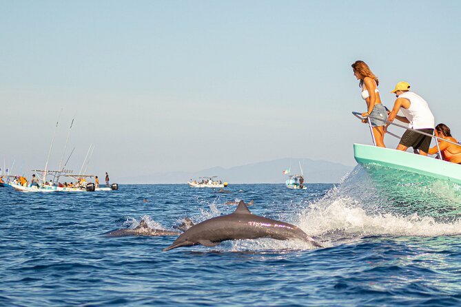 Dolphin Watching Tour - Key highlights at a glance
