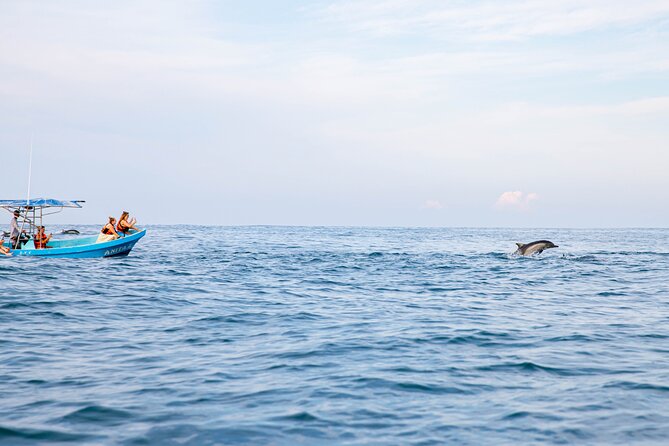 Dolphin Watching Tour - Guide and Captain Quality: Names You Might Hear on Board