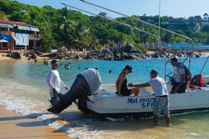 Dolphin Watching Tour - What to Wear and Bring for a Smooth Dolphin Morning