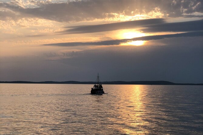 Dolphin Watching Tour – 85% Chance – Drinks & Dinner Included - Sunset Atmosphere: Party Energy vs. Nature Cruise Reality