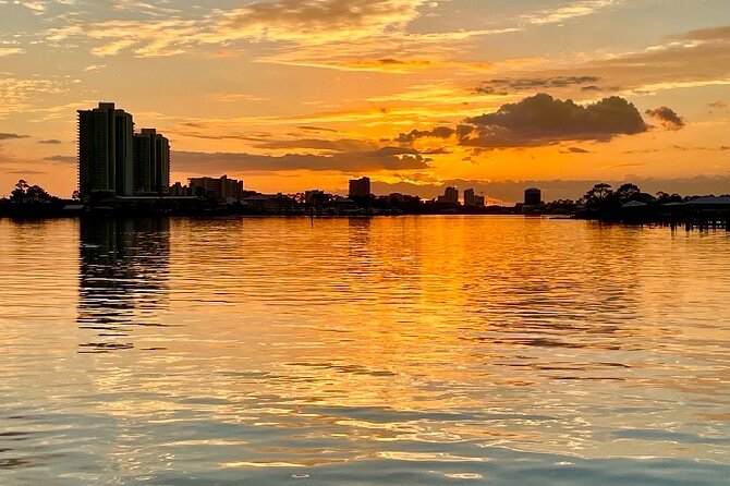Dolphin Watching Tour in Orange Beach - The Pink Boat vibe: why this dolphin tour feels different
