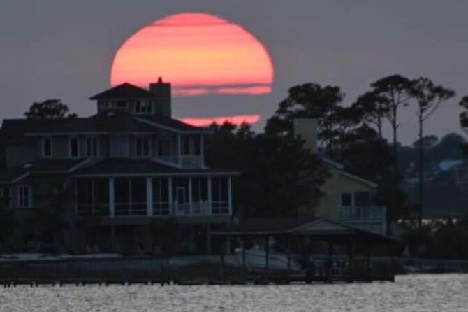 Dolphin Watching Tour in Orange Beach - Dolphin watching odds: how to get more from each scan