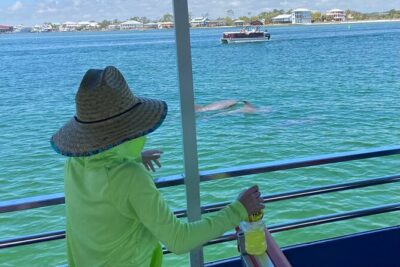 Dolphin Watching Tour in Orange Beach - Where you start: meeting at 26615 Perdido Beach Blvd