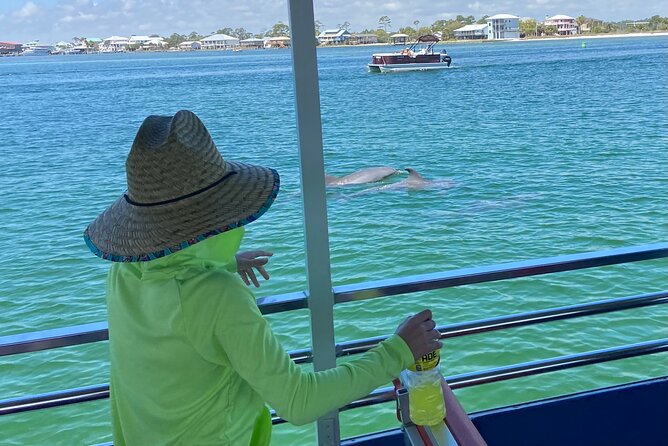 Dolphin Watching Tour in Orange Beach - Where you start: meeting at 26615 Perdido Beach Blvd