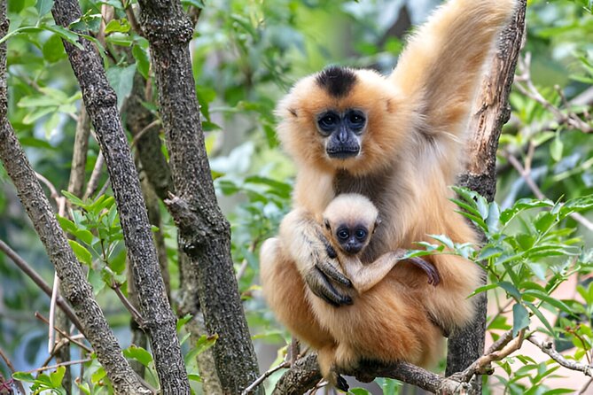 Dolphin Watching Tour & Josani Forest Sea Trip - Zanzibar - Group size, timing, and why 7 hours feels just right