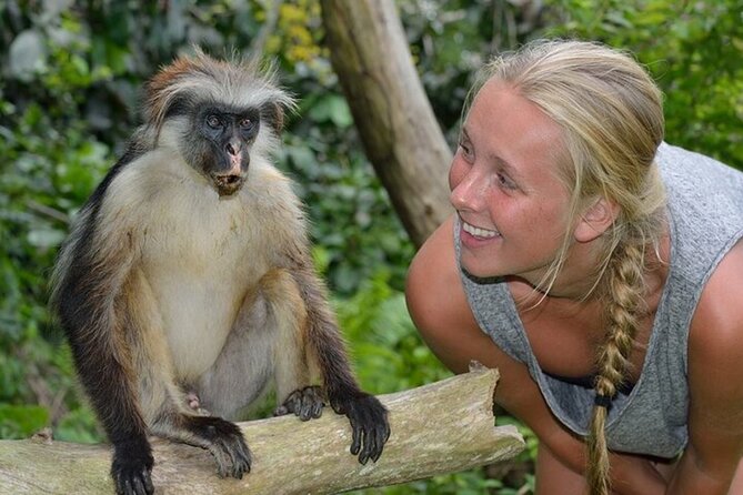 Dolphin Watching Tour & Josani Forest Sea Trip - Zanzibar - The road to Kizimkazi: switching from green to sea
