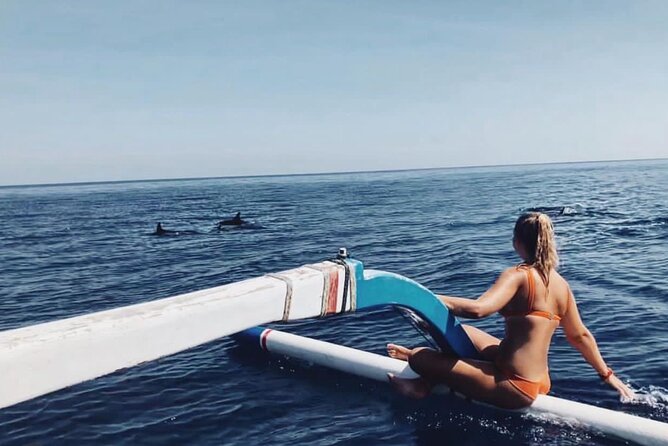 Dolphin Watching Tour, Swimming with Dolphins and Snorkeling - Key things to know before you go