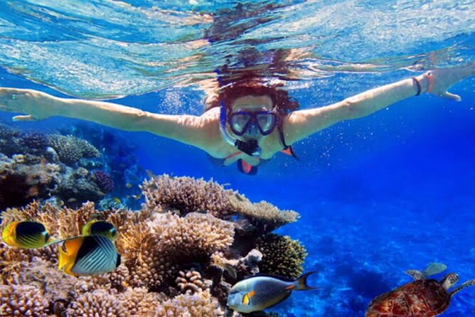 Dolphin Watching Tour, Swimming with Dolphins and Snorkeling - Why Lovina at sunrise is the whole point