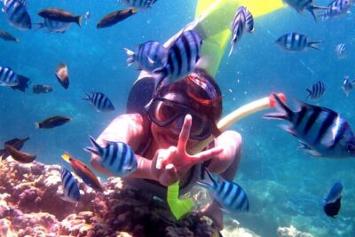 Dolphin Watching Tour, Swimming with Dolphins and Snorkeling - On the boat: how dolphin spotting actually works