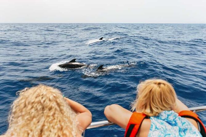 Dolphin Watching Tour with Snorkeling from Olbia - Stop 1 at Capo Figari: limestone caves, cliff views, and an aperitif